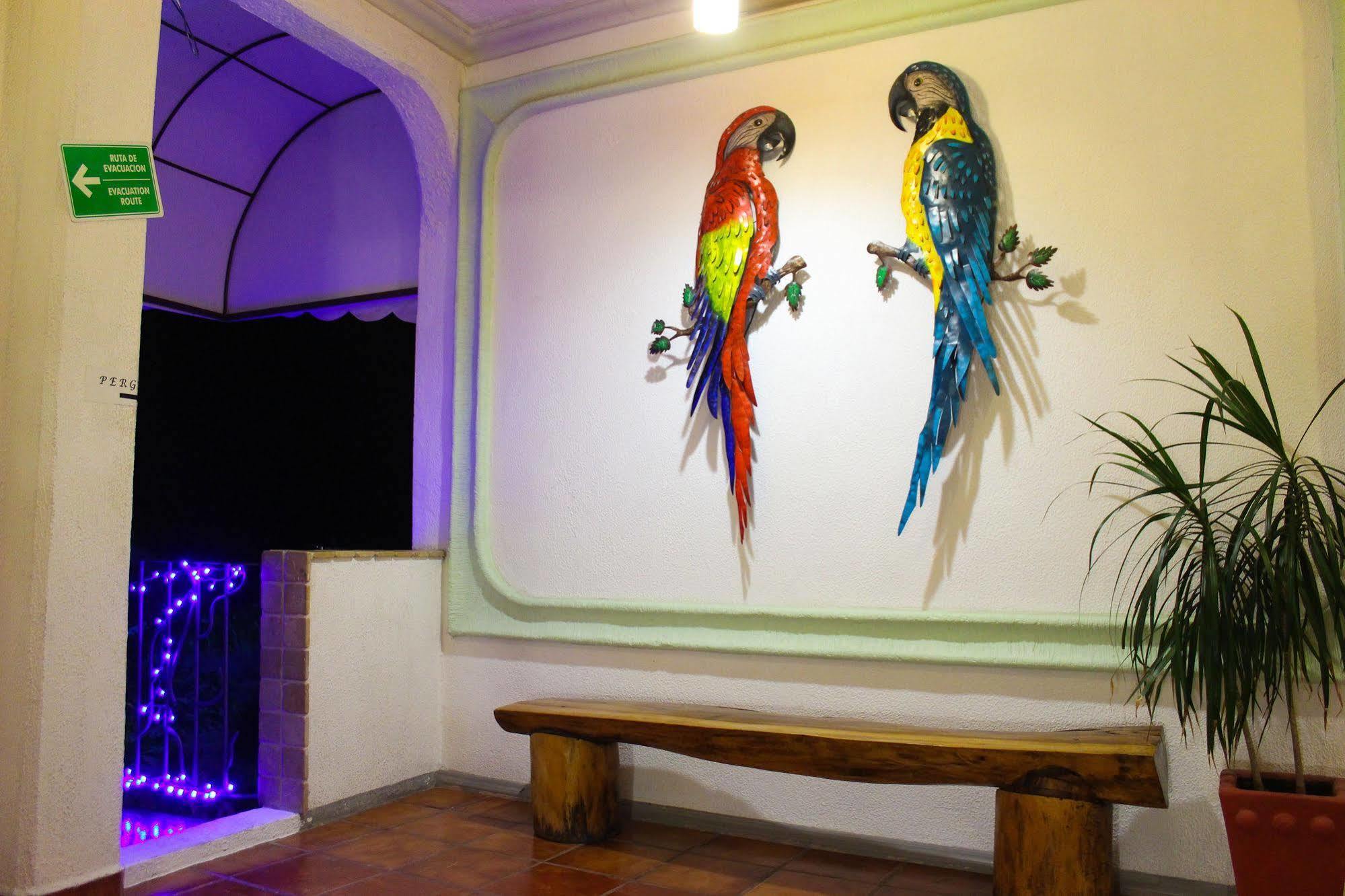 Hotel Careyes Puerto Escondido 埃斯孔迪多港 外观 照片
